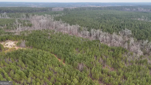 $1,232,280 | 1786 Andrews Road, Warrenton, GA 30828