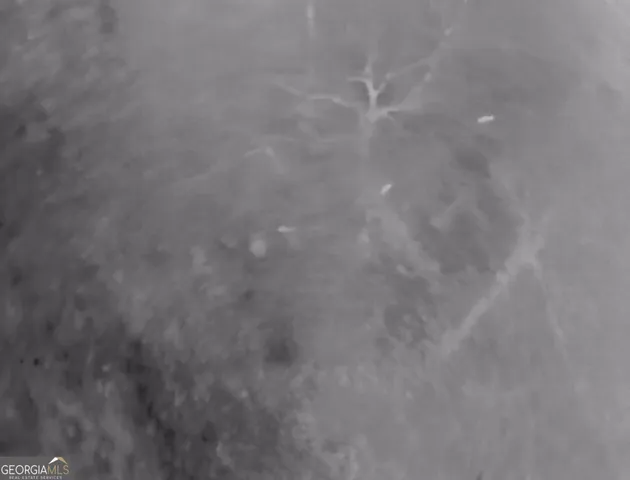 $1,232,280 | 1786 Andrews Road, Warrenton, GA 30828