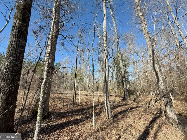 $1,232,280 | 1786 Andrews Road, Warrenton, GA 30828