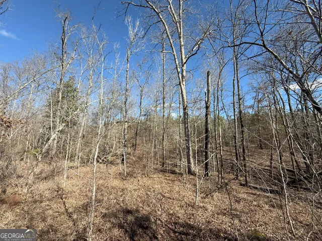 $1,232,280 | 1786 Andrews Road, Warrenton, GA 30828