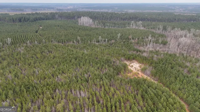 $1,232,280 | 1786 Andrews Road, Warrenton, GA 30828