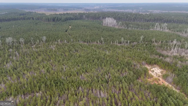 $1,232,280 | 1786 Andrews Road, Warrenton, GA 30828