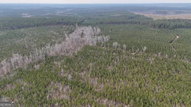 $1,232,280 | 1786 Andrews Road, Warrenton, GA 30828