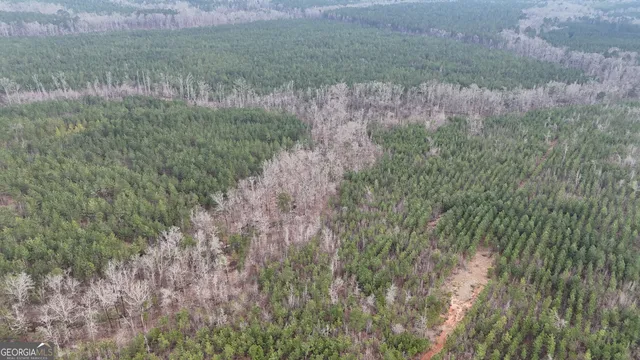 $1,232,280 | 1786 Andrews Road, Warrenton, GA 30828