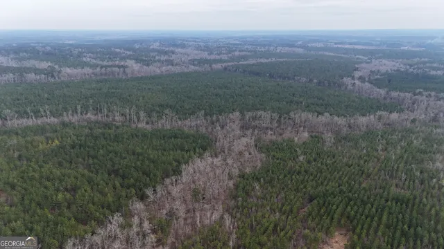 $1,232,280 | 1786 Andrews Road, Warrenton, GA 30828