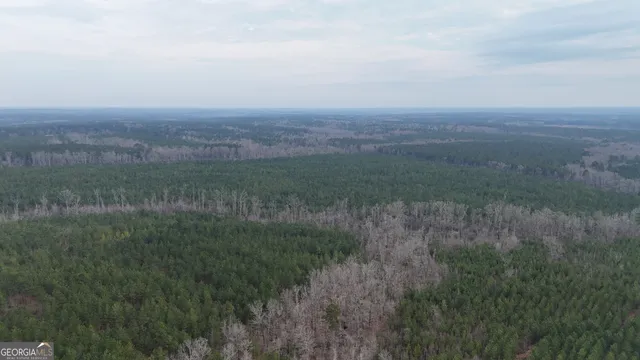 $1,232,280 | 1786 Andrews Road, Warrenton, GA 30828