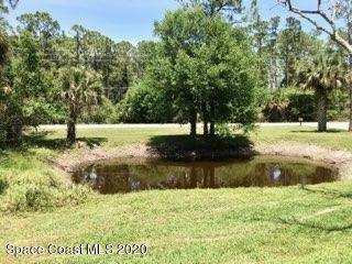 3876 Hield Road Northwest Palm Bay, FL 32907 - Photo 6 of 7 IMG_5108