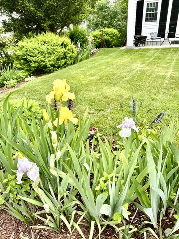 $2,000 | 278 Main Street, Unit 3, Hopkinton, NH 03229