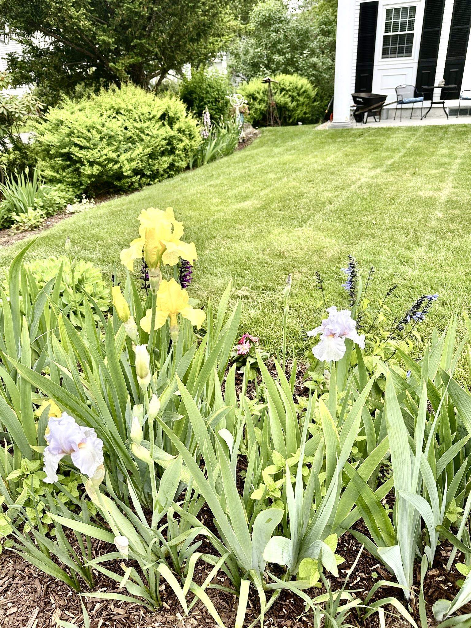 278 Main Street, Unit 3 Hopkinton, NH 03229 - Photo 10 of 12