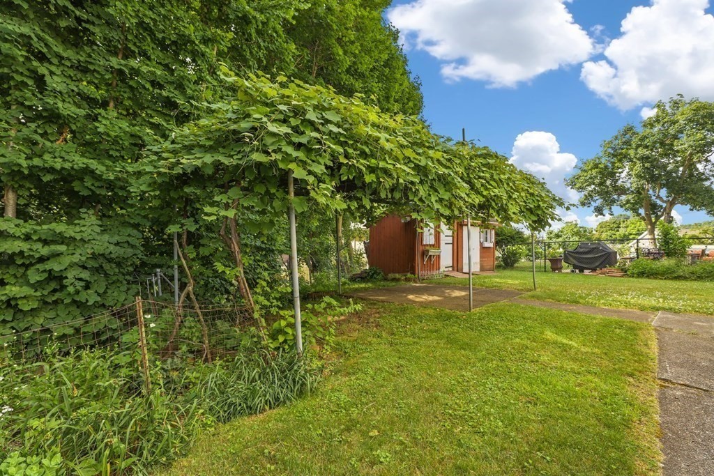 48 Maynard Street Boston, MA 02131 - Photo 19 of 23 a view of a big yard with large trees