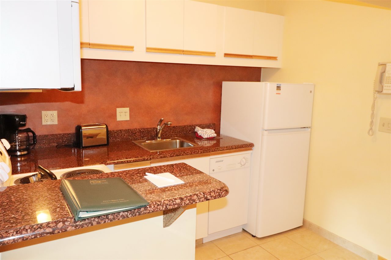 90 Loon Mountain Road, Unit 1025 AD Lincoln, NH 03251 - Photo 10 of 17