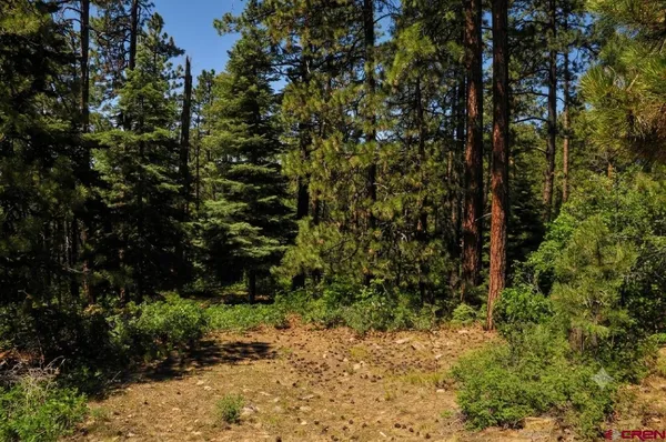 $110,000 | 176 Big Timber Drive, Bayfield, CO 81122