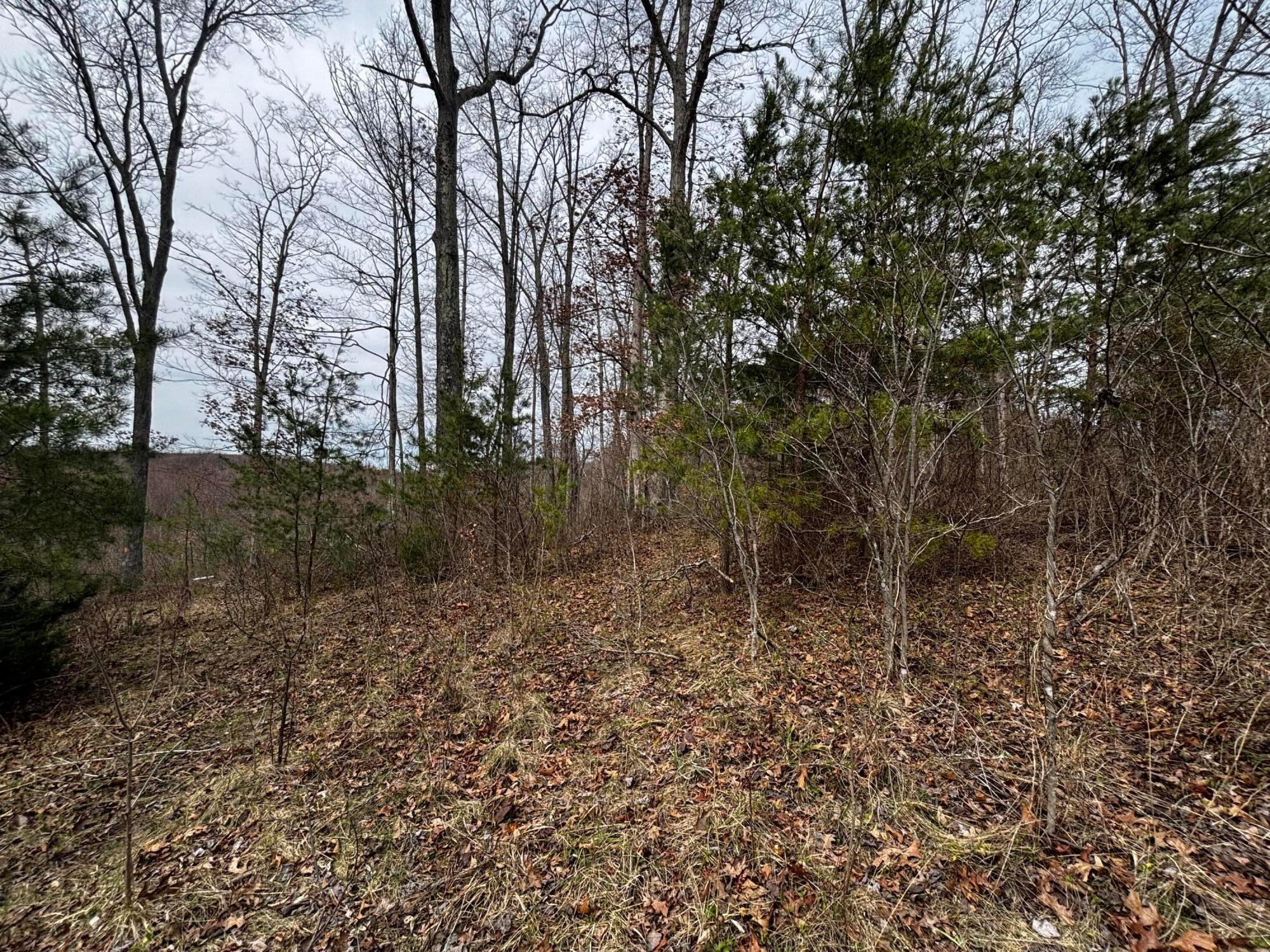 799 Woodruff Road Vinton, OH 45686 - Photo 4 of 8 IMG_2213
