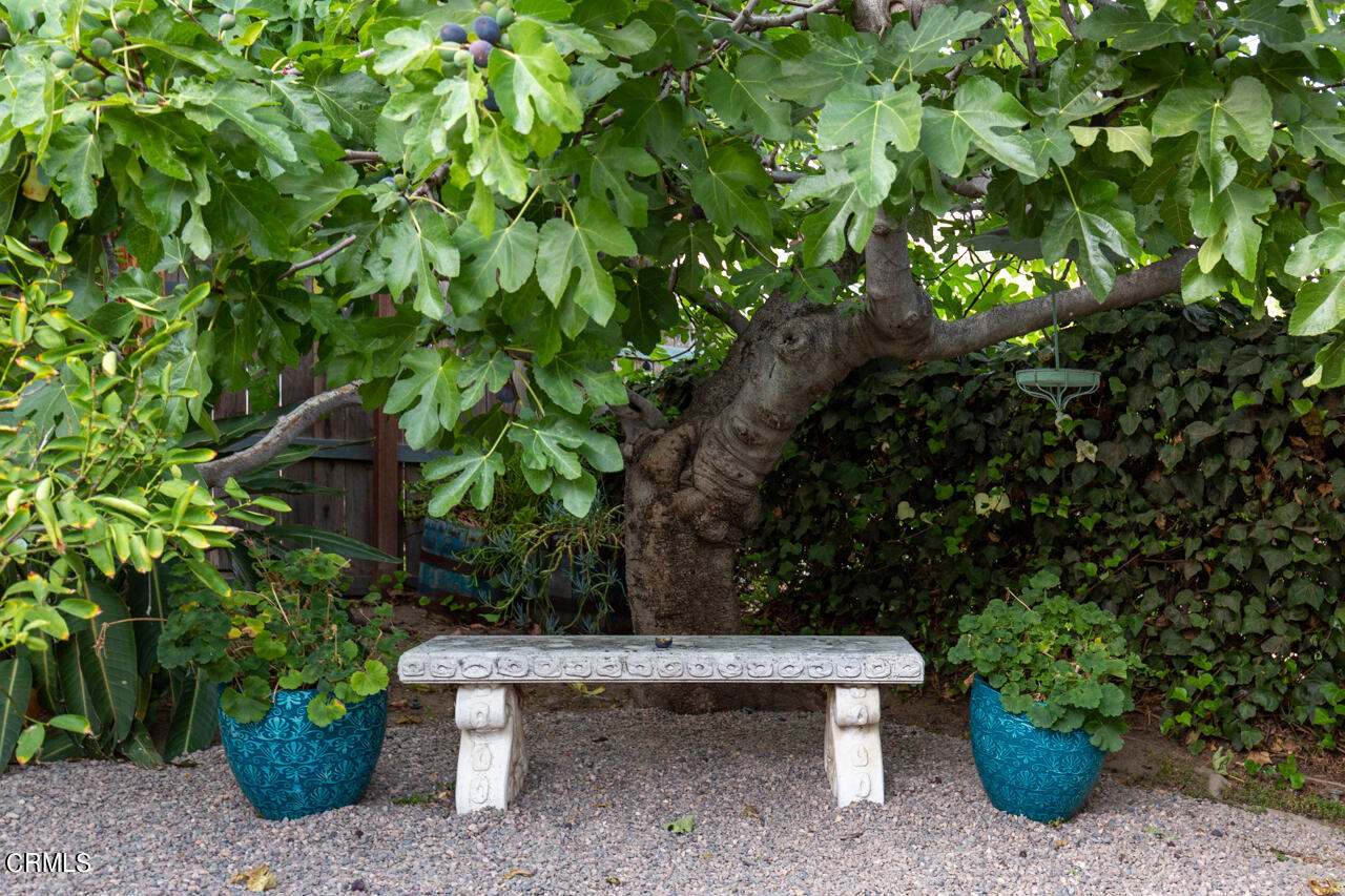 2355 Brigden Road Pasadena, CA 91104 - Photo 24 of 30 a view of a bench in a garden