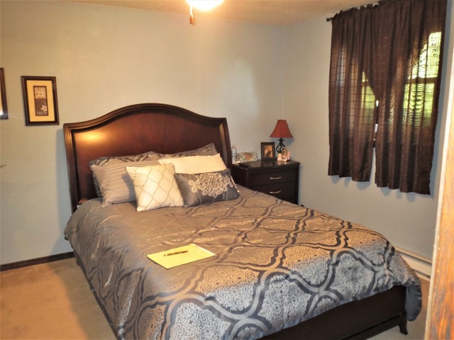 9536 West Woosung Road Dixon, IL 61021 - Photo 12 of 24 a bedroom with a bed and a painting on the wall
