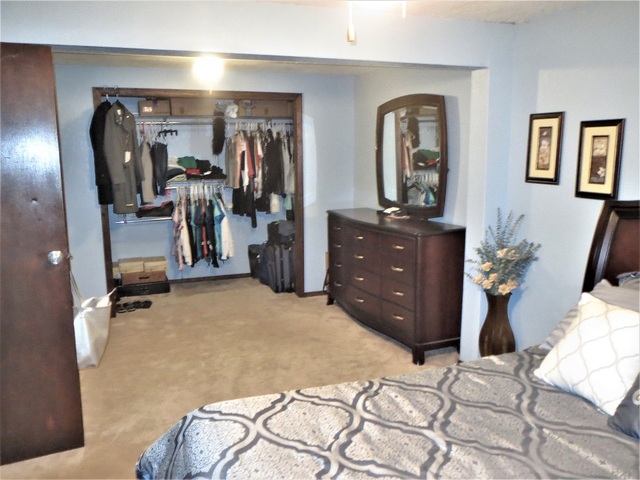 9536 West Woosung Road Dixon, IL 61021 - Photo 13 of 24 a bed room with a bed and a mirror