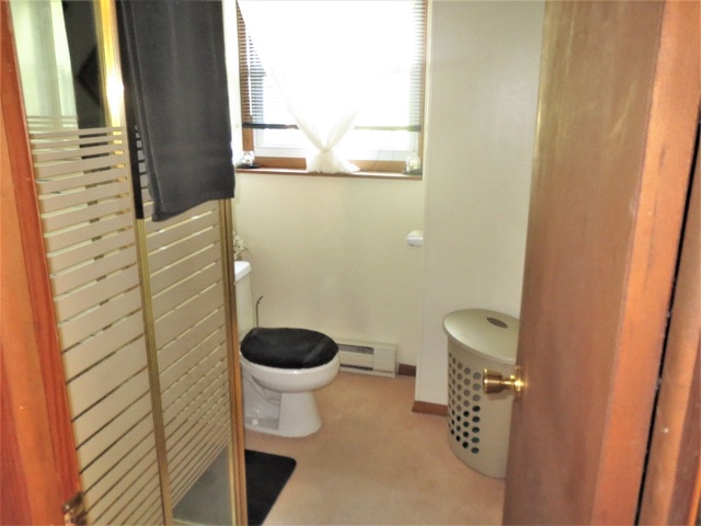 9536 West Woosung Road Dixon, IL 61021 - Photo 16 of 24 a bathroom with a toilet and a shower