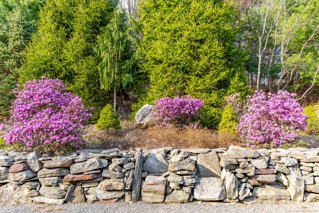 a aerial view of a house with swimming pool and next to trees