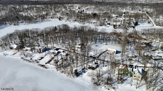 a view of a yard with plants and trees