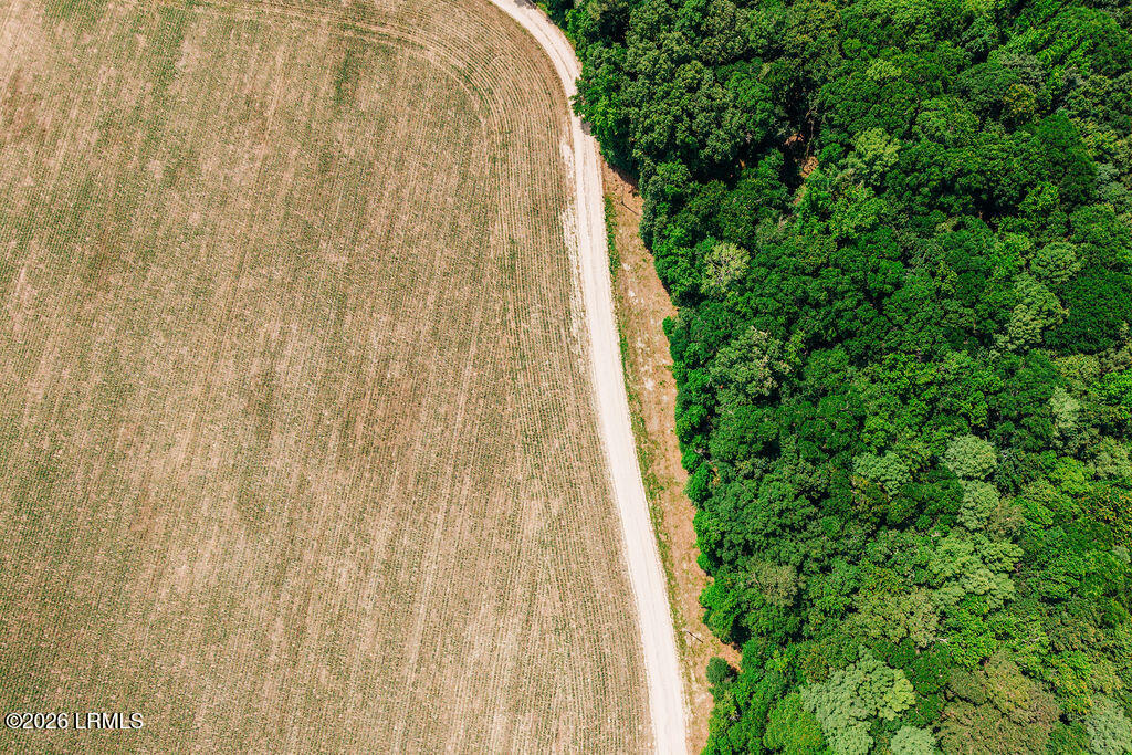 0 Parnel Road Cope, SC 29038 - Photo 13 of 13 DJI_20260511113024_0128_D