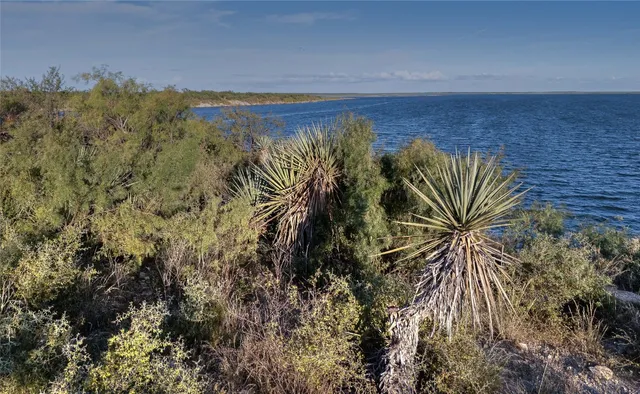 a view of a plant in a yard