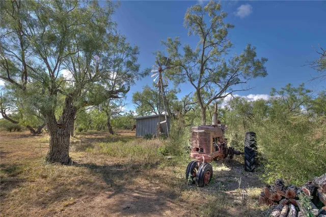 a backyard of a house with table and chairs under a large tree
