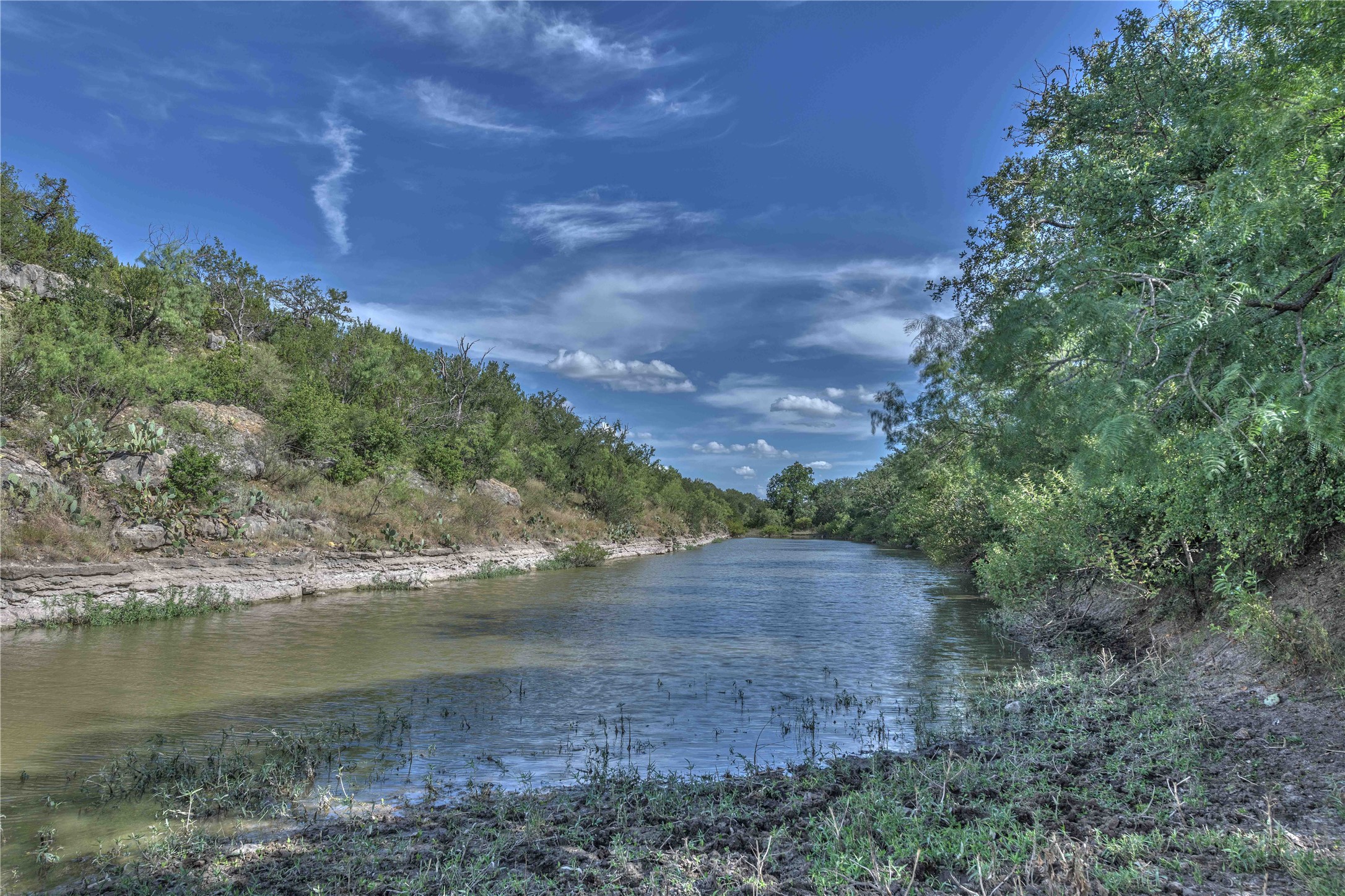 1281 Pr 3740 Voss, TX 76888 - Photo 4 of 40 Water view with a heavily wooded area