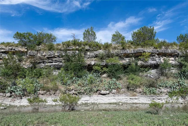 a view of a yard with a tree
