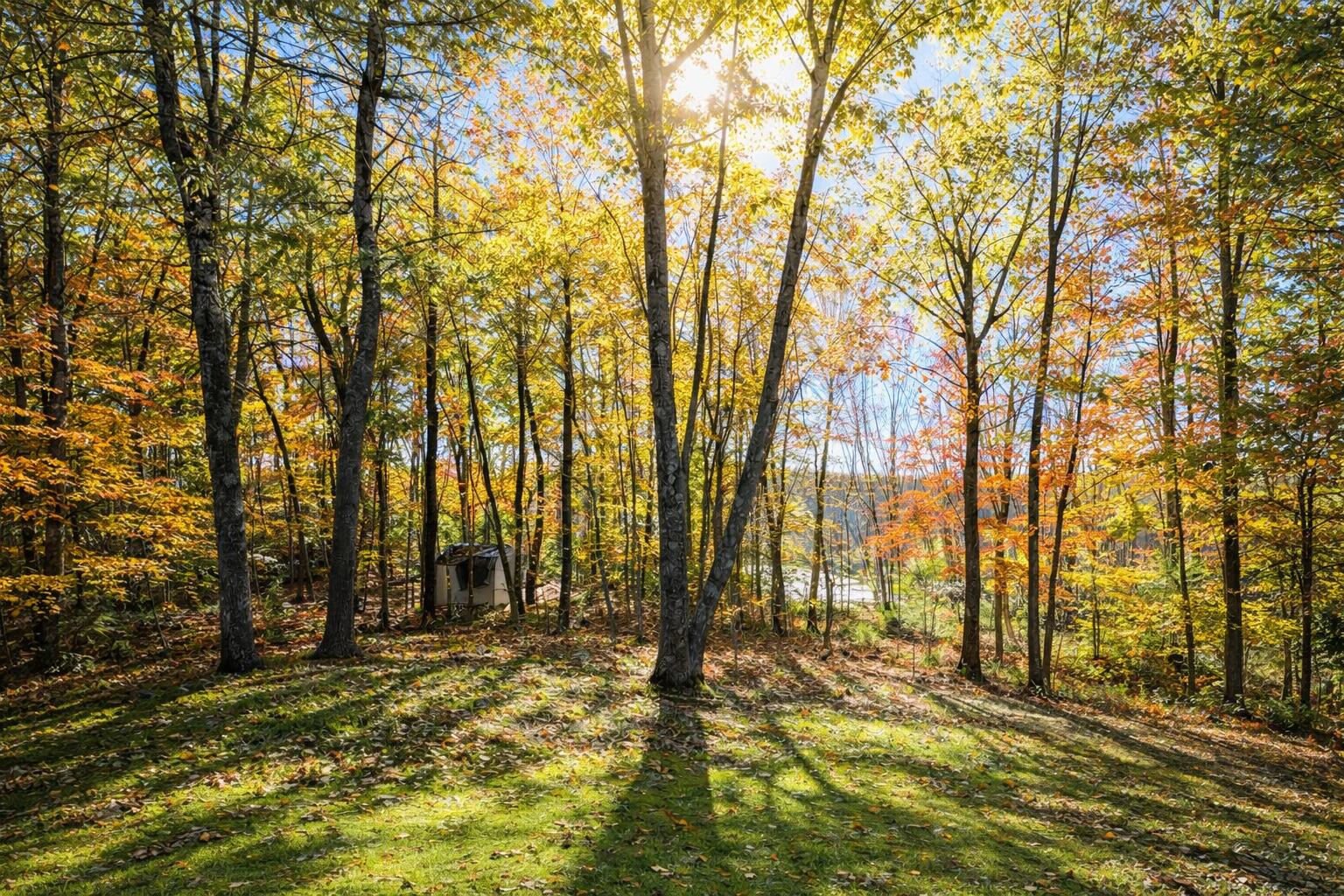 89 Boyds Corner Road South Berwick, ME 03908 - Photo 4 of 58 Autum Back Yard with Shed