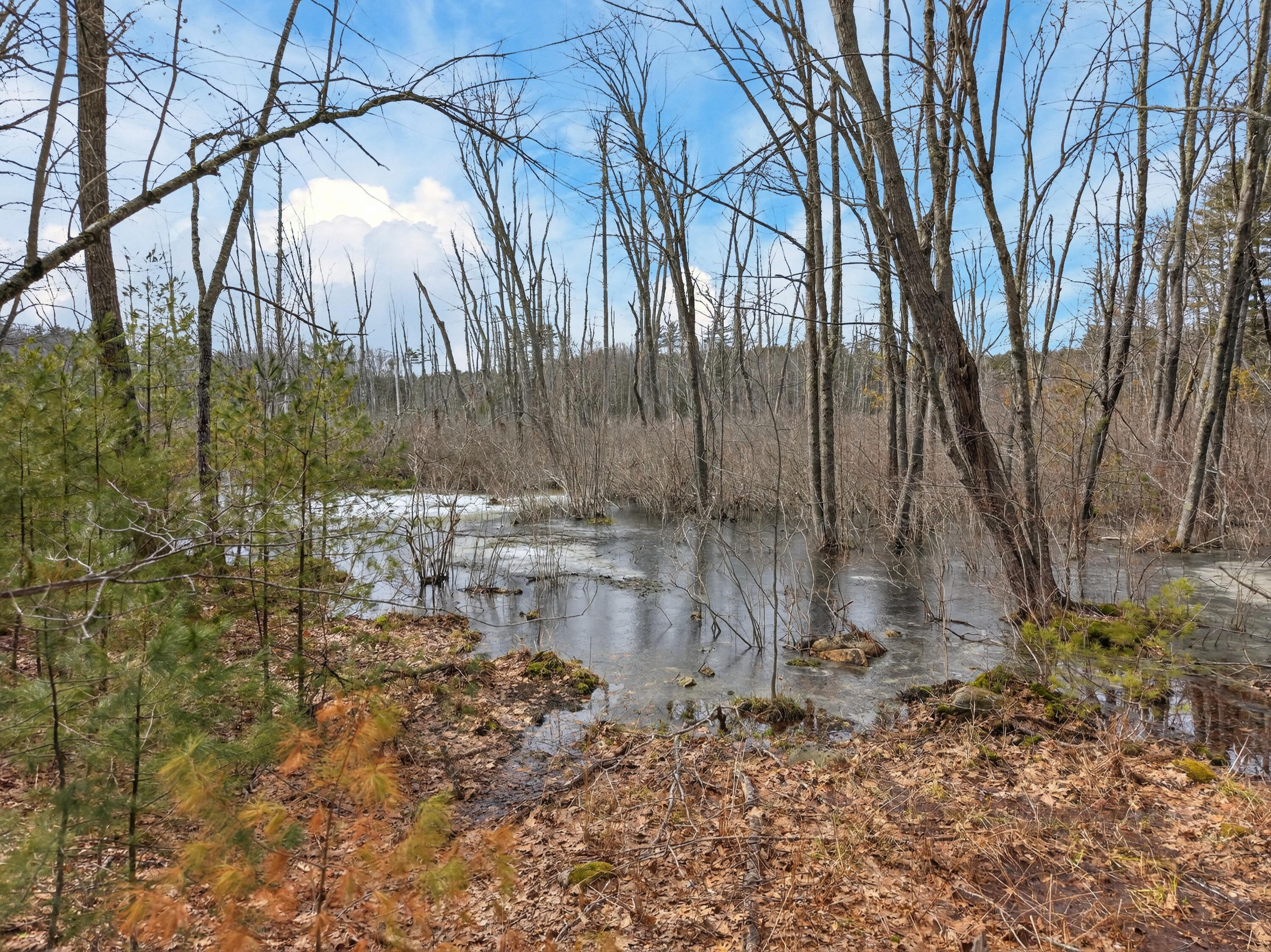 89 Boyds Corner Road South Berwick, ME 03908 - Photo 53 of 58 Pond