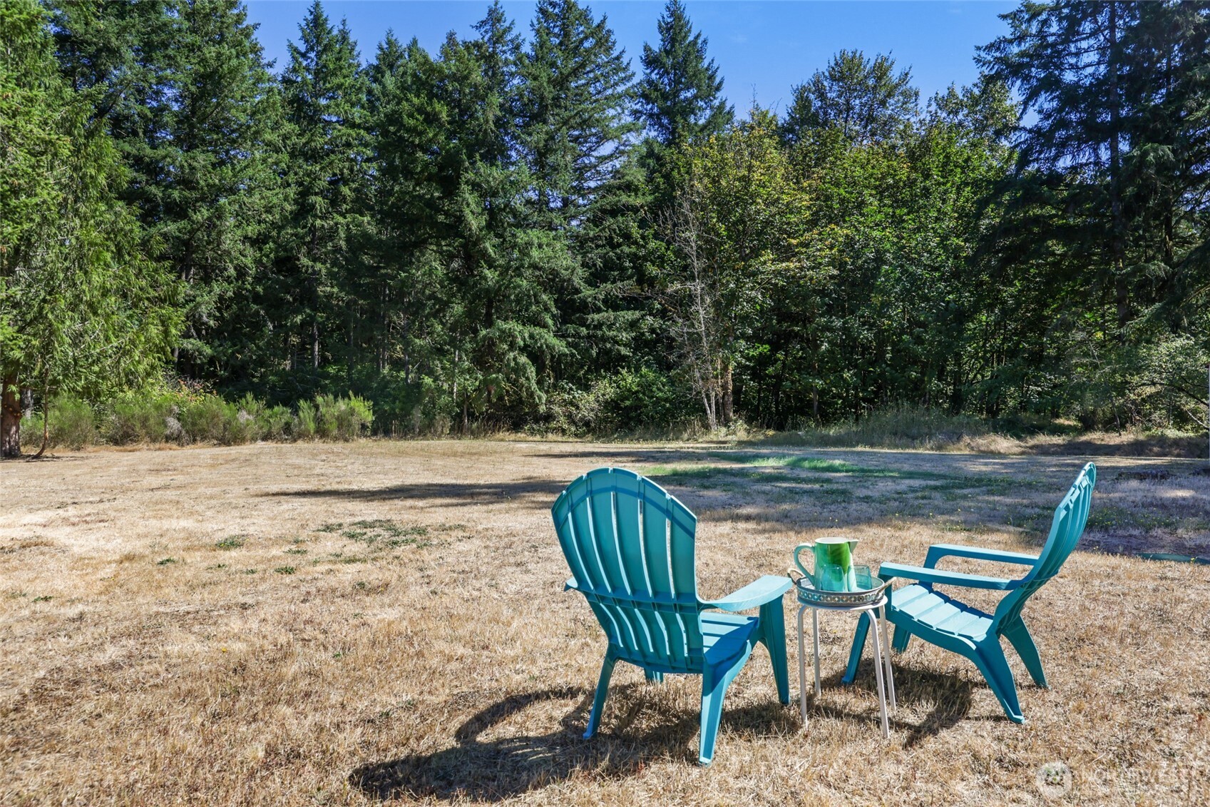 10324 Delphi Road Southwest, Unit 29 Olympia, WA 98512 - Photo 2 of 40 Gallery Image 2