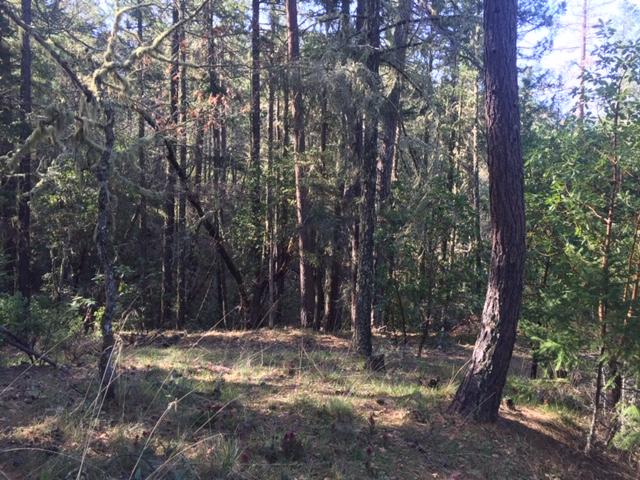 Thompson Creek Road Jacksonville, OR 97530 - Photo 16 of 19 Gallery Image 16
