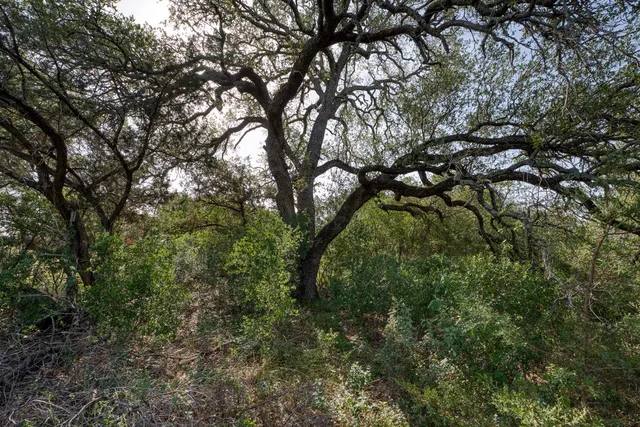 $290,000 | 271 The Rock Road, Buchanan Dam, TX 78609