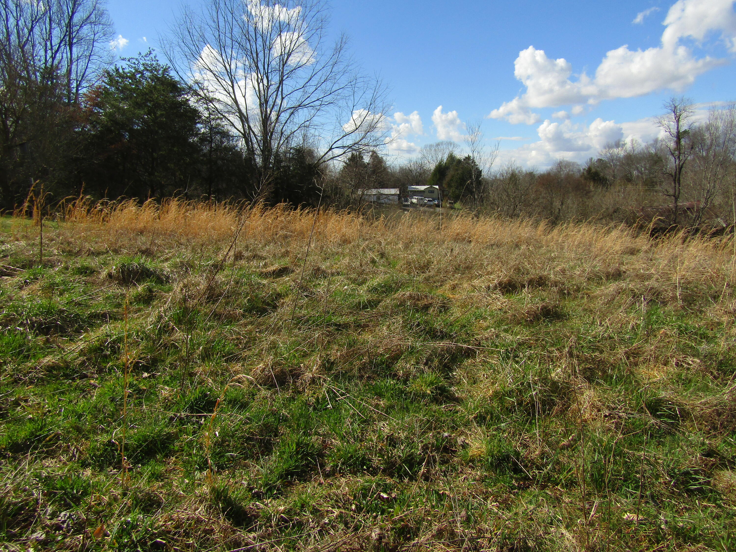 Lot # Seaton Road, Unit 16 Afton, TN 37616 - Photo 3 of 4 S 16