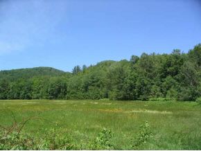 Off Andover Road Chester, VT 05143 - Photo 1 of 1
