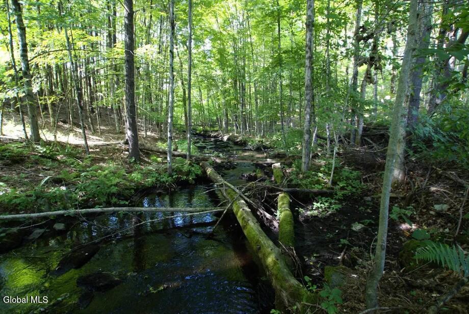 1276 Holcombville Road Whitehall, NY 12887 - Photo 45 of 49 stream