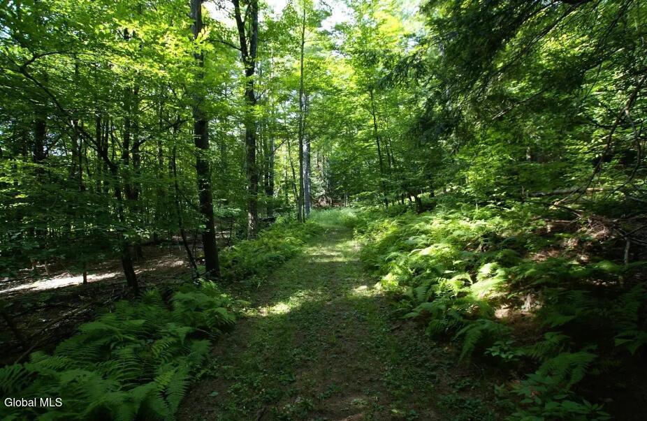 1276 Holcombville Road Whitehall, NY 12887 - Photo 46 of 49 trail 2