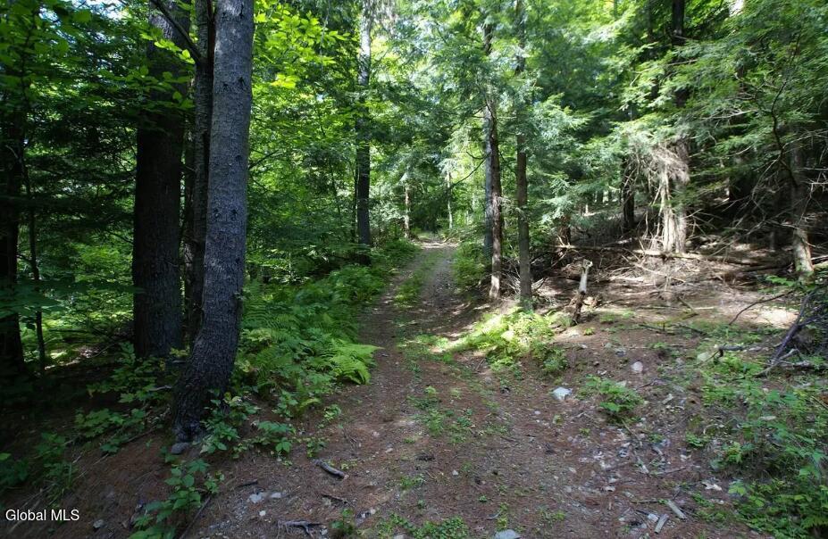 1276 Holcombville Road Whitehall, NY 12887 - Photo 47 of 49 Trail