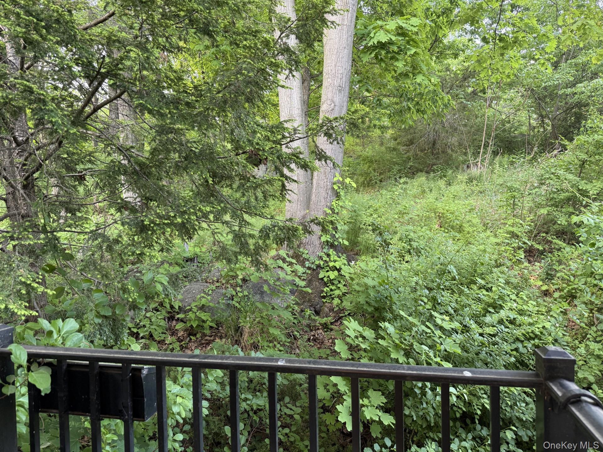 3 Forge Gate Drive, Unit B6A Cold Spring, NY 10516 - Photo 12 of 12 Balcony with view of woods