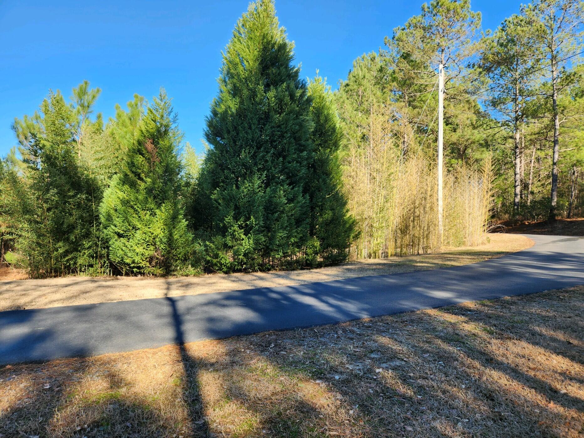 438 Wire Road Aiken, SC 29801 - Photo 4 of 4