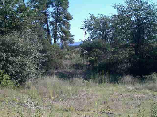 210 West Longhorn Road, Unit 1 Payson, AZ 85541 - Photo 2 of 4 Additional Photo