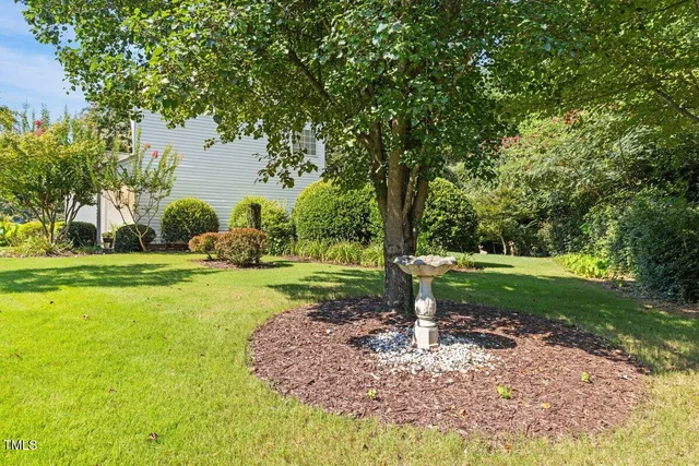 a view of a garden with tree