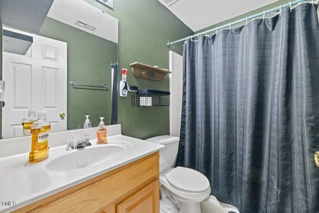 a bathroom with a sink a toilet and shower curtain