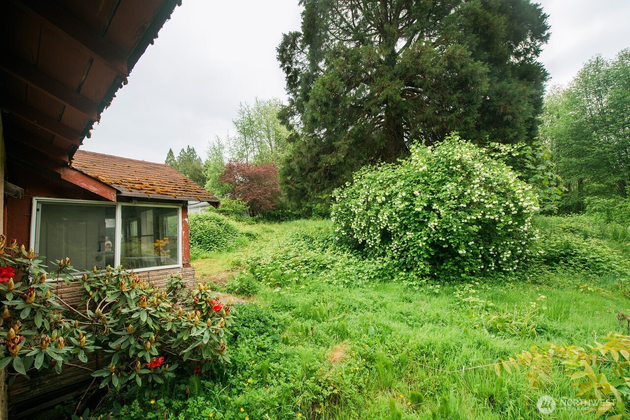 10379 Bethel Burley Road Southeast Port Orchard, WA 98367 - Photo 25 of 40 a view of a backyard with plants