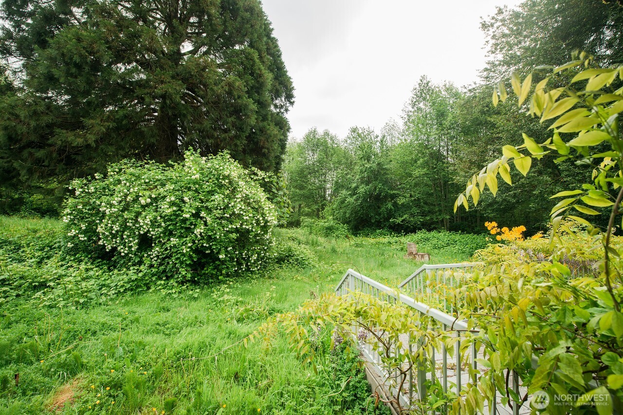 10379 Bethel Burley Road Southeast Port Orchard, WA 98367 - Photo 26 of 40 a view of a field with plants and a trees