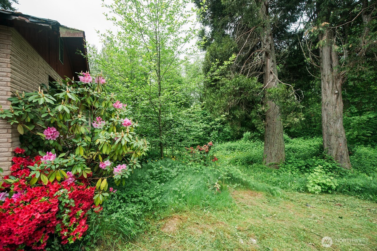 10379 Bethel Burley Road Southeast Port Orchard, WA 98367 - Photo 27 of 40 a close up of a flower in a garden