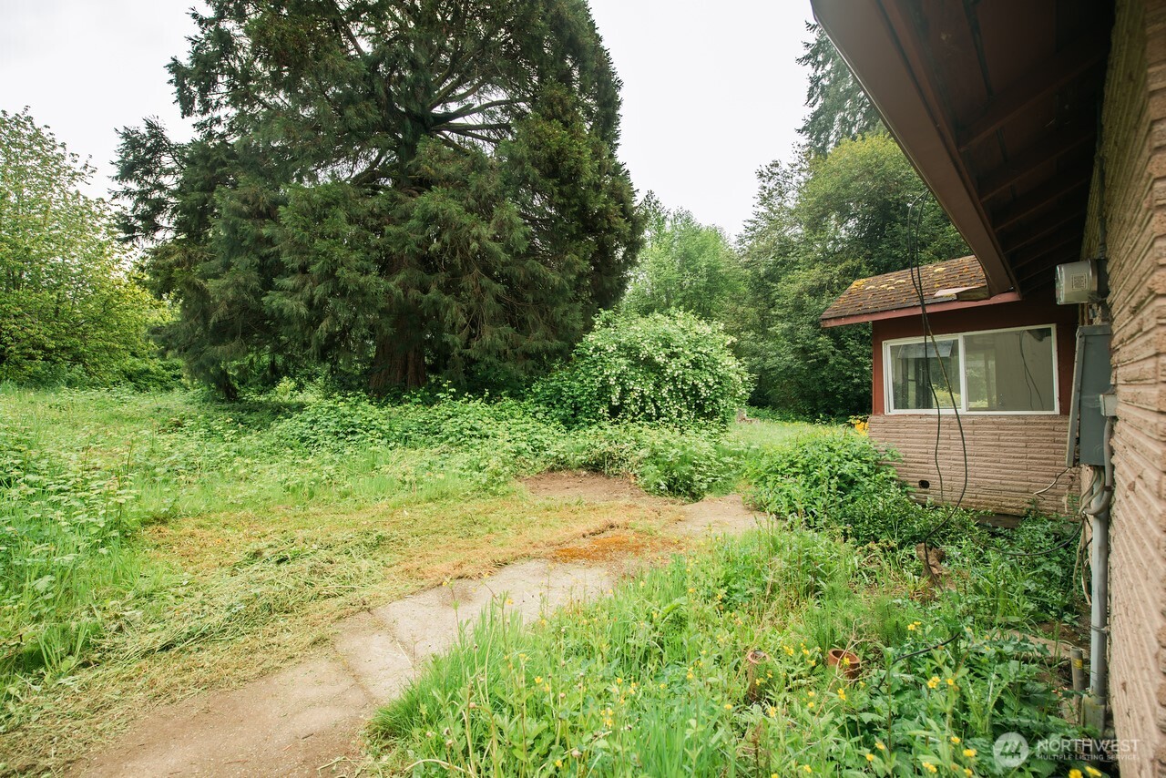 10379 Bethel Burley Road Southeast Port Orchard, WA 98367 - Photo 29 of 40 a view of a yard with plants and large trees