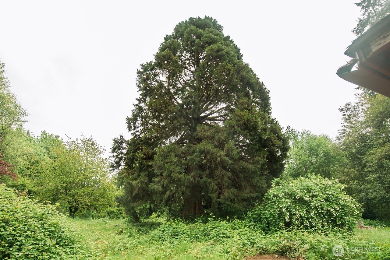 10379 Bethel Burley Road Southeast Port Orchard, WA 98367 - Photo 30 of 40 a backyard of a house with lots of green space