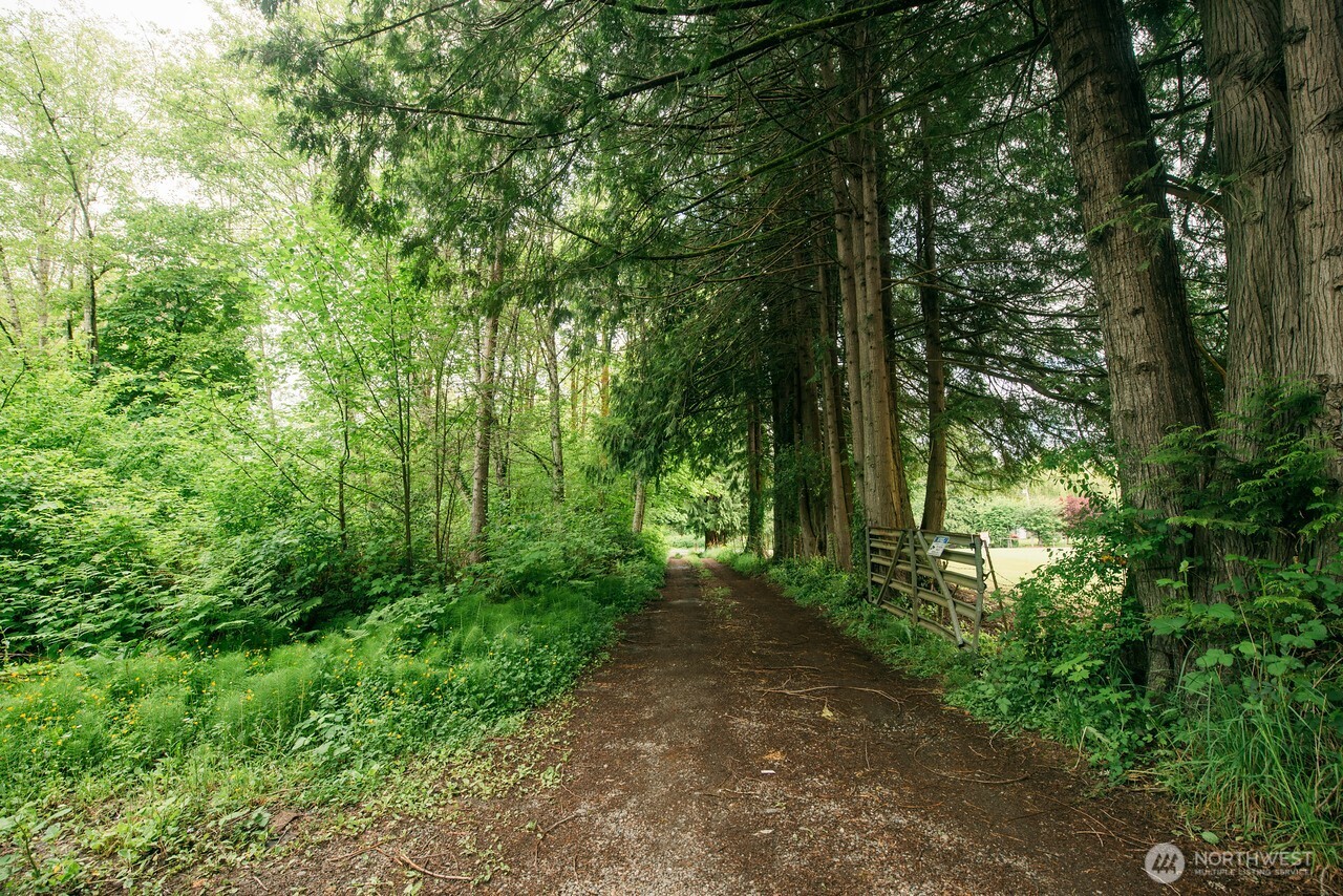 10379 Bethel Burley Road Southeast Port Orchard, WA 98367 - Photo 31 of 40 a view of outdoor space and green space
