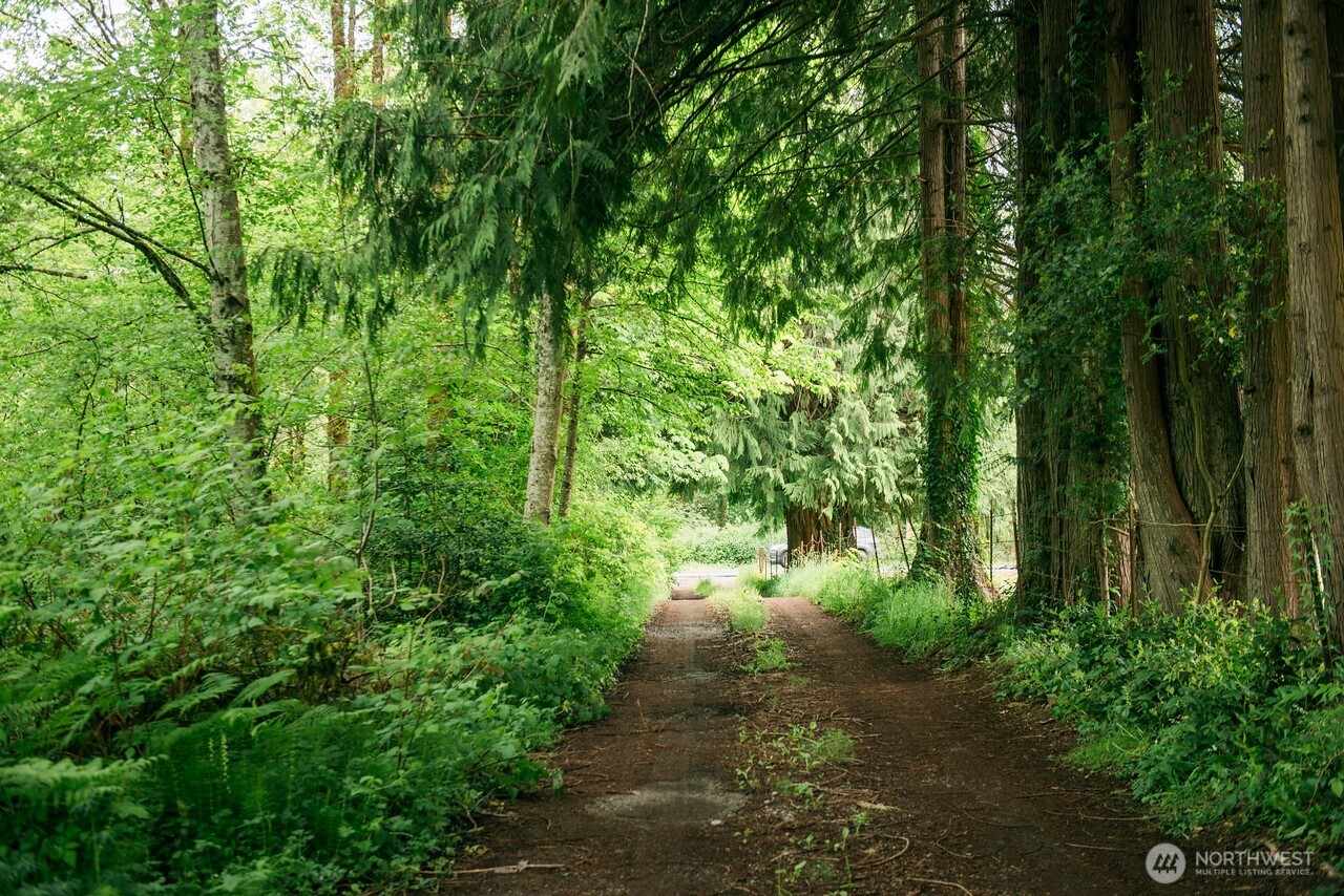 10379 Bethel Burley Road Southeast Port Orchard, WA 98367 - Photo 32 of 40 a view of a yard